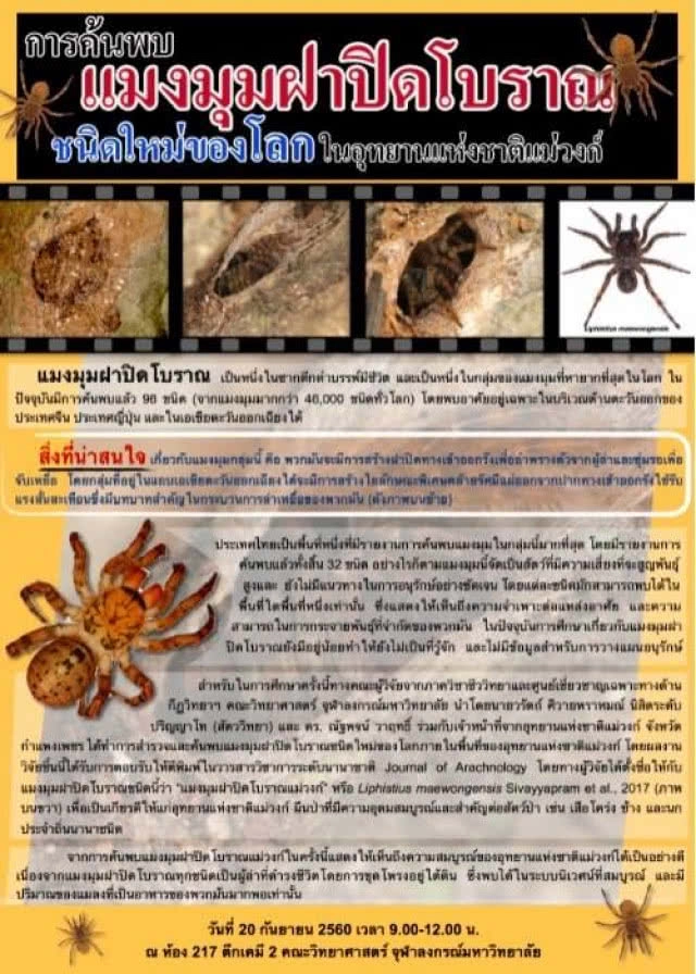 ค้นพบ "แมงมุมฝาปิดโบราณ" ชนิดใหม่ของโลก
ถือกำเนิดมากกกว่า 300 ล้านปีก่อนยุคไดโนเสาร์
