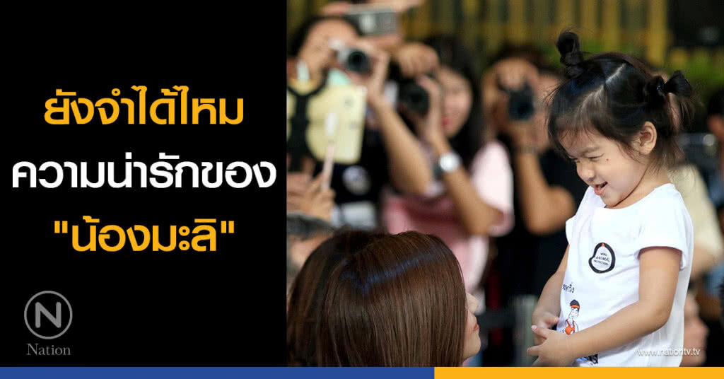 ยังจำได้ไหม ความน่ารักของ "น้องมะลิ" ยังจำได้ไหม ความน่ารักของ "น้องมะลิ"