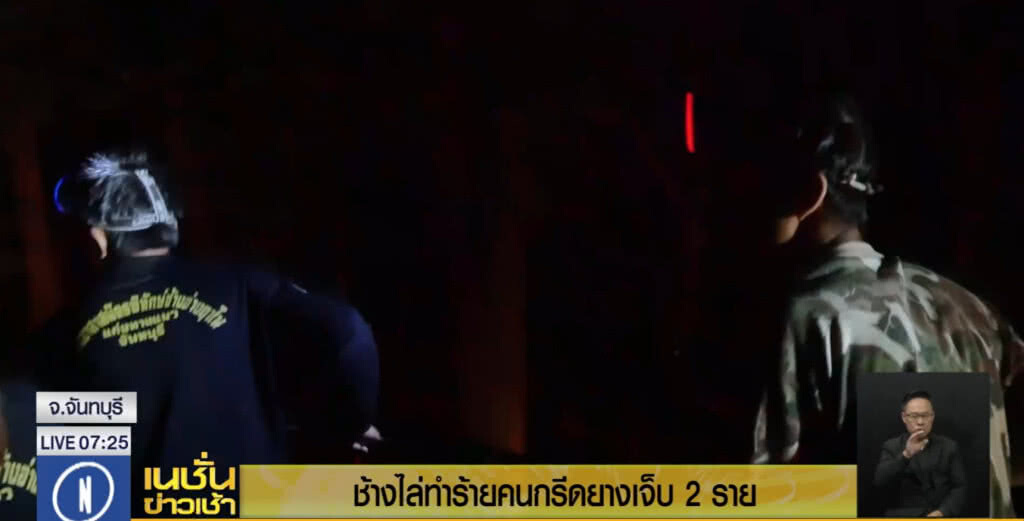 ช้างป่าทำร้ายชาวบ้าน แก่งหางแมว ขณะกรีดยาง