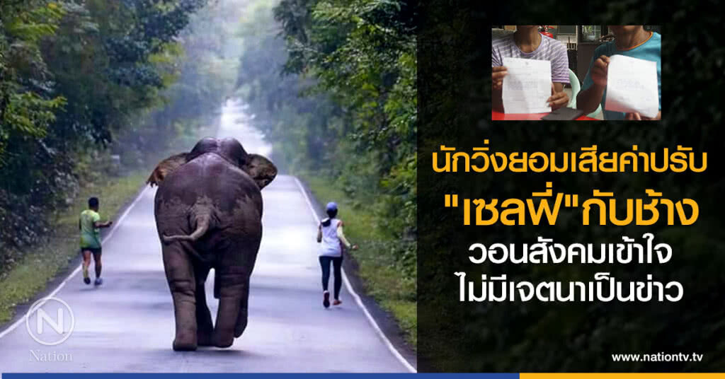 นักวิ่งยอมเสียค่าปรับ 
"เซลฟี่"กับช้าง
วอนสังคมเข้าใจ
ไม่มีเจตนาเป็นข่าว