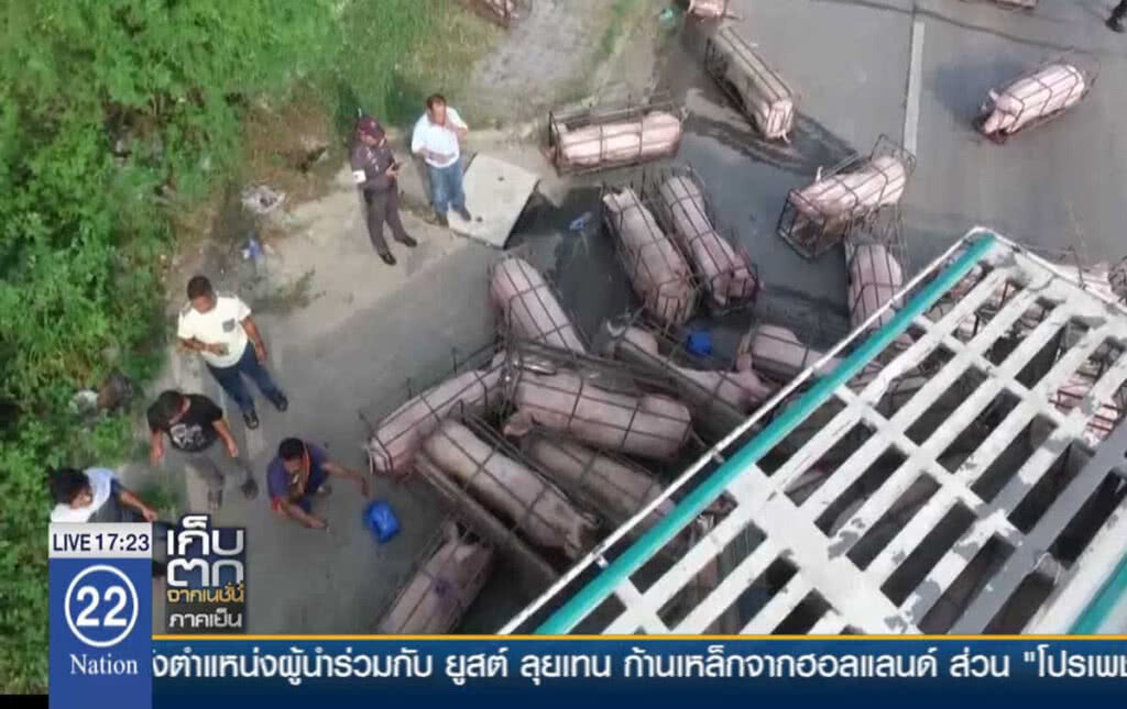 รถบรรทุกสุกรพลิกคว่ำตาย 1 เจ็บกว่า 30
