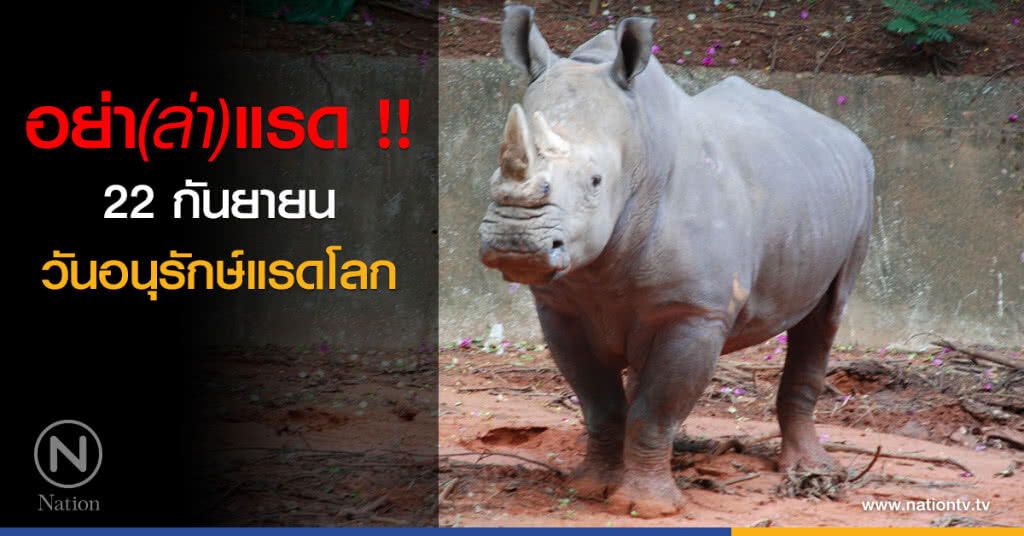 อย่า(ล่า)แรด !!
22 กันยายน วันอนุรักษ์แรดโลก