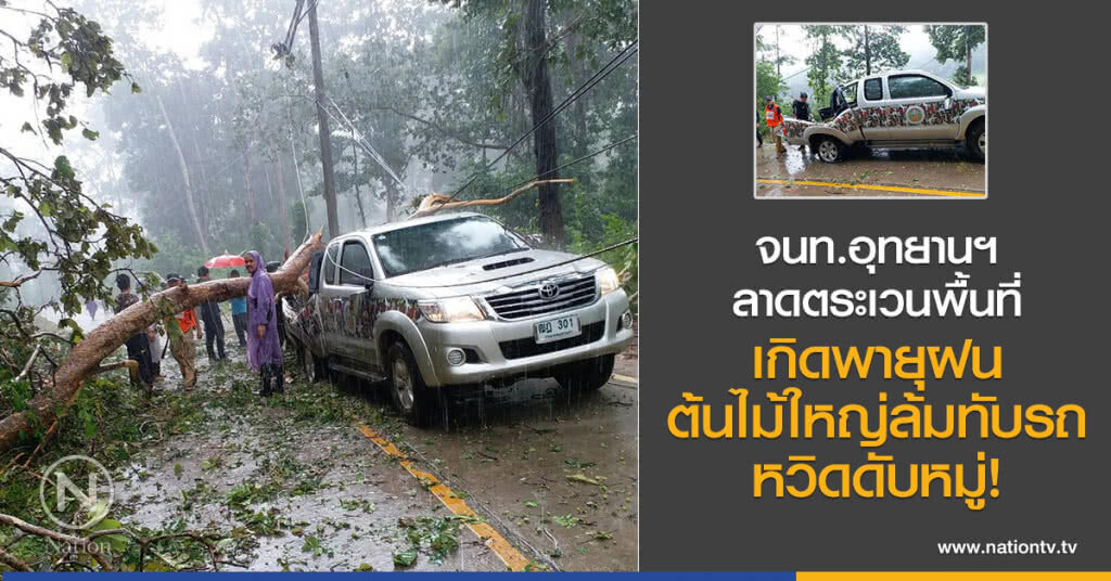 จนท.อุทยานฯ ลาดตระเวนพื้นที่
เกิดพายุฝน
ต้นไม้ใหญ่ล้มทับรถ
หวิดดับหมู่!