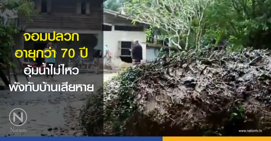 จอมปลวกอายุกว่า 70 ปี อุ้มน้ำไม่ไหวพังทับบ้านเสียหาย จอมปลวกอายุกว่า 70 ปี อุ้มน้ำไม่ไหวพังทับบ้านเสียหาย