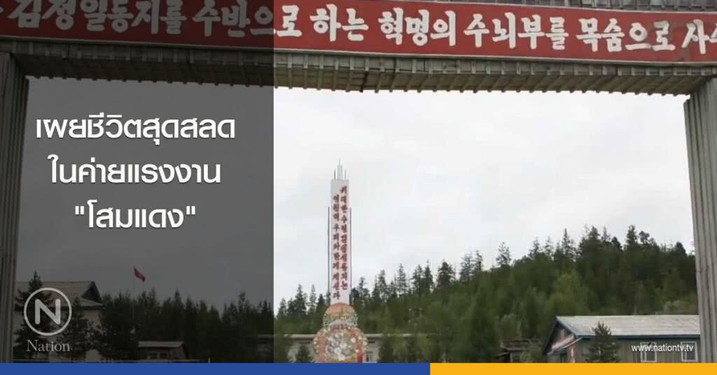 เผยชีวิตสุดสลด ในค่ายแรงงาน "โสมแดง" เผยชีวิตสุดสลด ในค่ายแรงงาน "โสมแดง"
