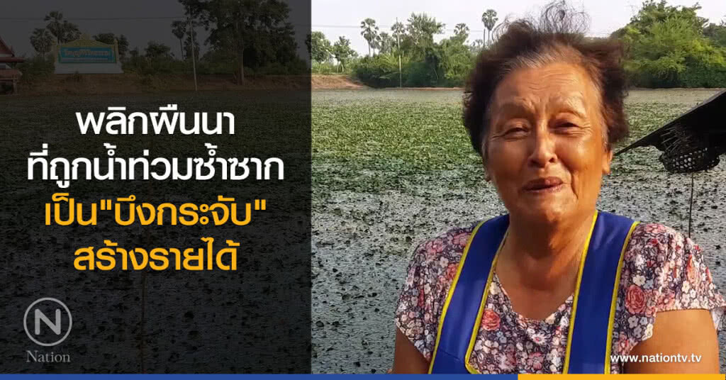 พลิกผืนนาที่ถูกน้ำท่วมซ้ำซากเป็นบึงกระจับสร้างรายได้