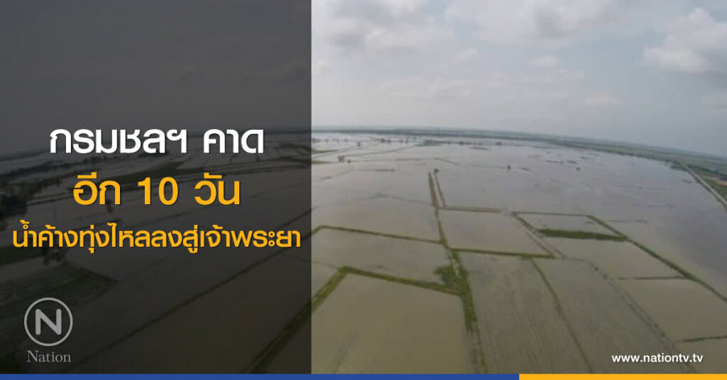 กรมชลฯ คาด
อีก 10 วัน
น้ำค้างทุ่งไหลลงสู่เจ้าพระยา กรมชลฯ คาด
อีก 10 วัน
น้ำค้างทุ่งไหลลงสู่เจ้าพระยา