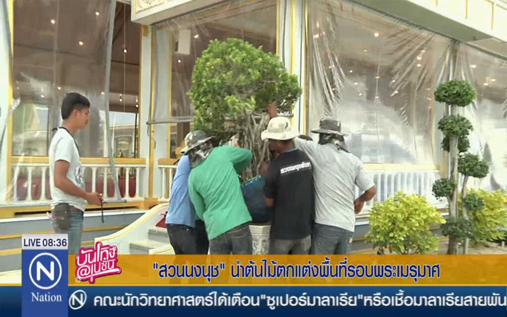 สวนนงนุช นำต้นไม้ขนาดกลาง-เล็ก ตกแต่งพื้นที่ รอบพระเมรุมาศ สวนนงนุช นำต้นไม้ขนาดกลาง-เล็ก ตกแต่งพื้นที่ รอบพระเมรุมาศ