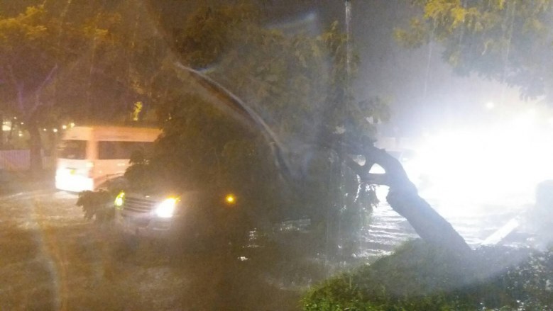 ฝนถล่มกรุงอ่วม !! ต้นไม้ล้ม-ท่วมขังหลายพื้นที่