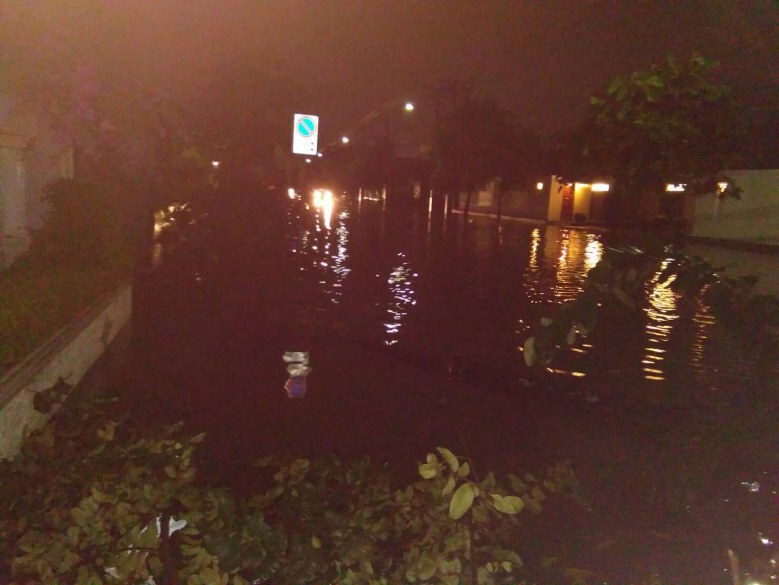 ฝนถล่มกรุงอ่วม !! ต้นไม้ล้ม-ท่วมขังหลายพื้นที่