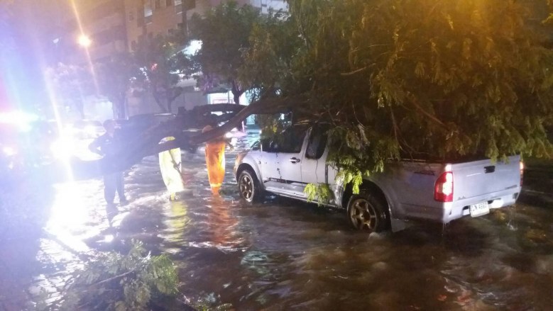 ฝนถล่มกรุงอ่วม !! ต้นไม้ล้ม-ท่วมขังหลายพื้นที่