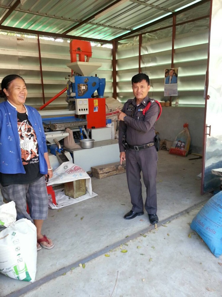 ตามรอย"ในหลวงร.9" พลิกฟื้น"ทุ่งกุลา"นาปลอดสารพิษ