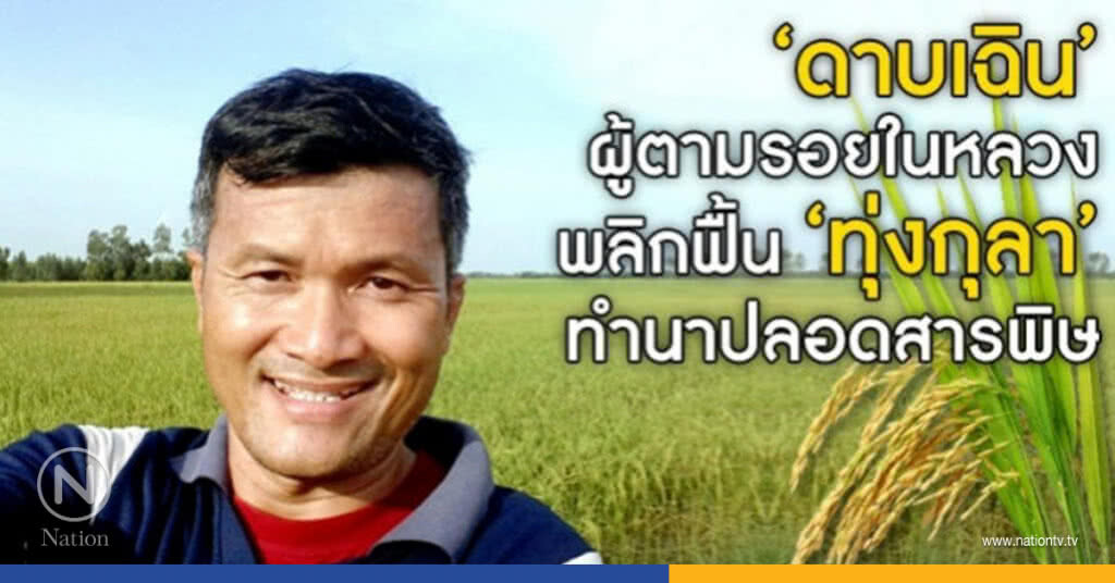 ตามรอย"ในหลวงร.9" พลิกฟื้น"ทุ่งกุลา"นาปลอดสารพิษ