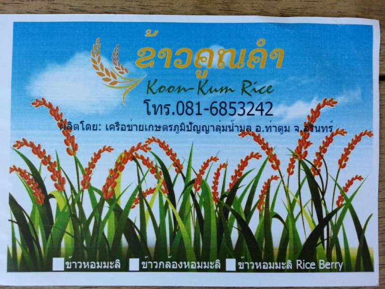 ตามรอย"ในหลวงร.9" พลิกฟื้น"ทุ่งกุลา"นาปลอดสารพิษ