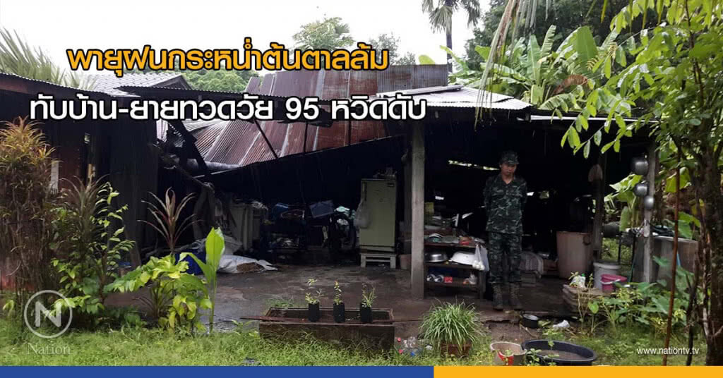 พายุฝนกระหน่ำต้นตาลล้มทับบ้าน-ยายทวดวัย 95 หวิดดับ