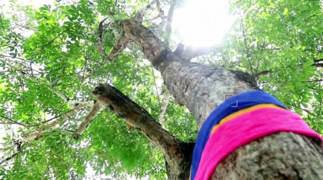 ปั่น Slow life ไปตามรอยพระบาท 12 เมืองต้องห้ามพลาด @ตรัง