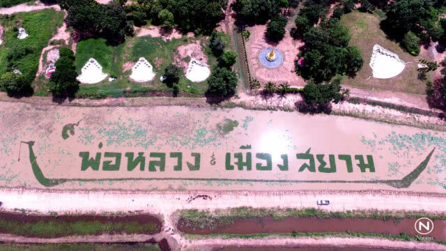 ชาวอ.พรหมพิรามปลูกผักลอยน้ำ "พ่อหลวง ๙ เมืองสยาม"