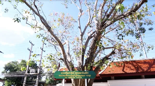 ปั่น Slow life ไปตามรอยพระบาท 12 เมืองต้องห้ามพลาด @สมุทรสงคราม