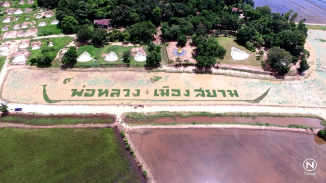 ชาวอ.พรหมพิรามปลูกผักลอยน้ำ "พ่อหลวง ๙ เมืองสยาม"