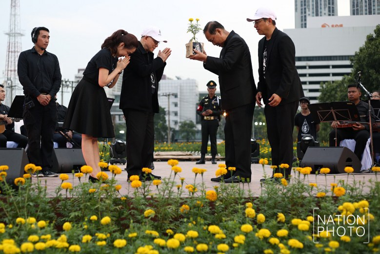 (ภาพชุด) ปลูกดอกดาวเรือง ให้บานสะพรั่ง ใจกลางกรุงเทพฯ