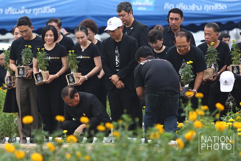 (ภาพชุด) ปลูกดอกดาวเรือง ให้บานสะพรั่ง ใจกลางกรุงเทพฯ