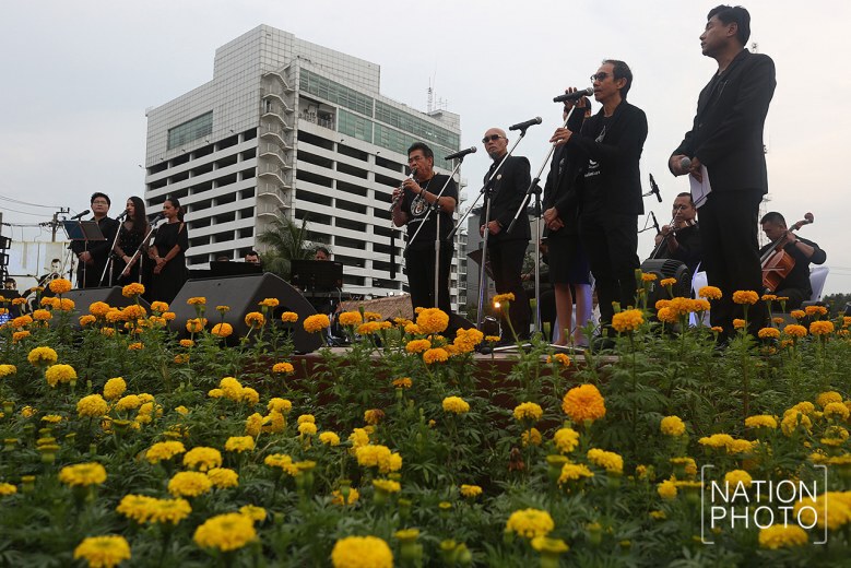 (ภาพชุด) ปลูกดอกดาวเรือง ให้บานสะพรั่ง ใจกลางกรุงเทพฯ