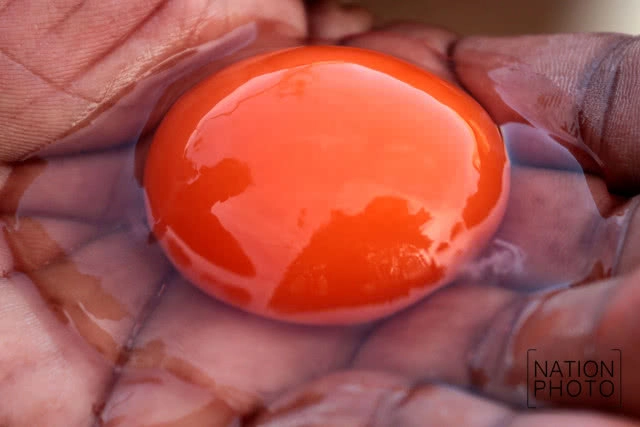 ที่สุดแห่งใข่เป็ด! ของดีเมืองสงขลา สู่ตลาดทั่วภาคใต้