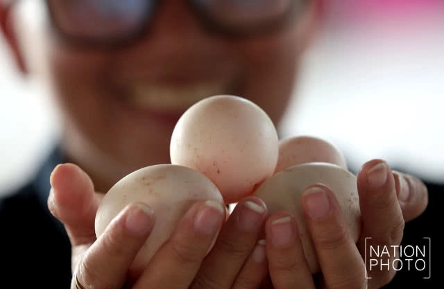 ที่สุดแห่งใข่เป็ด! ของดีเมืองสงขลา สู่ตลาดทั่วภาคใต้