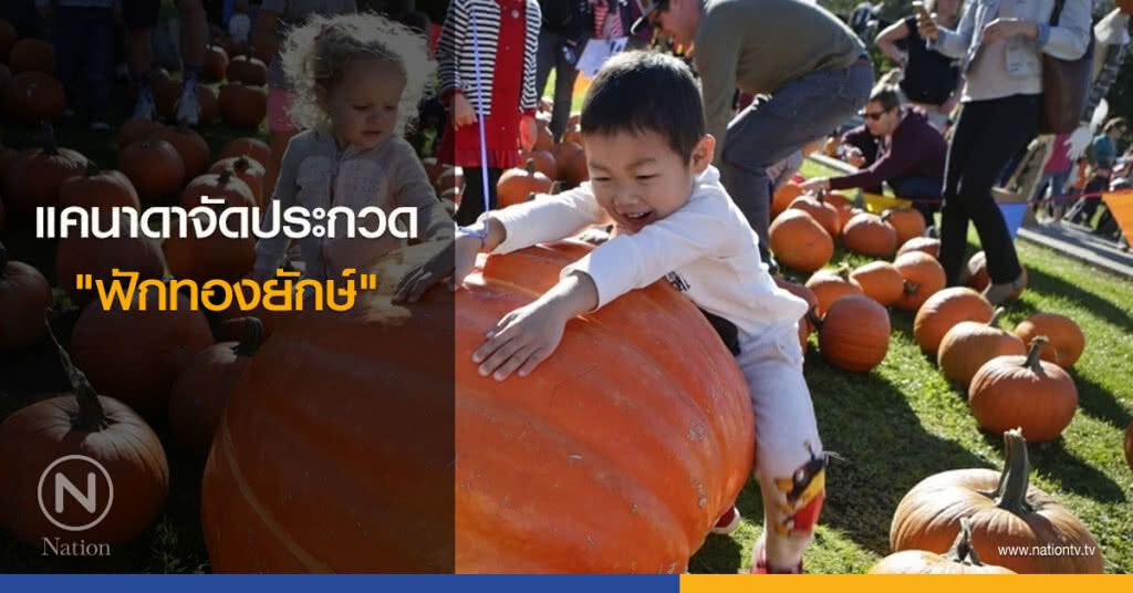 แคนาดาจัดประกวด"ฟักทองยักษ์" แคนาดาจัดประกวด"ฟักทองยักษ์"