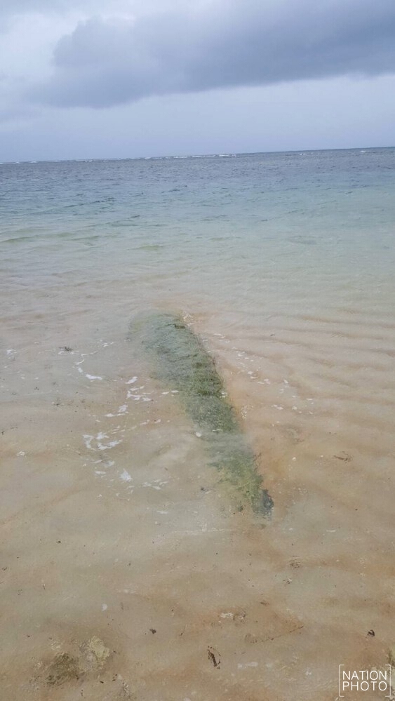 พบวัตถุ
คล้าย "ตอร์ปิโด"
โผล่หาดในยาง