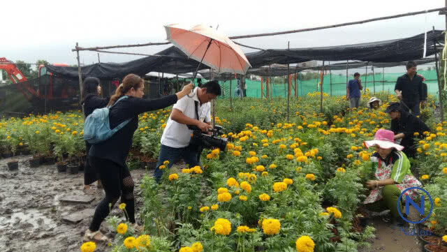 ชาว อ.ลำลูกกา ร่วมปลูกดอกดาวเรืองเพื่อพ่อ
ผลิดอกบานสะพรั่ง
เหลืองอร่ามทั่วทุ่งคลองสาม