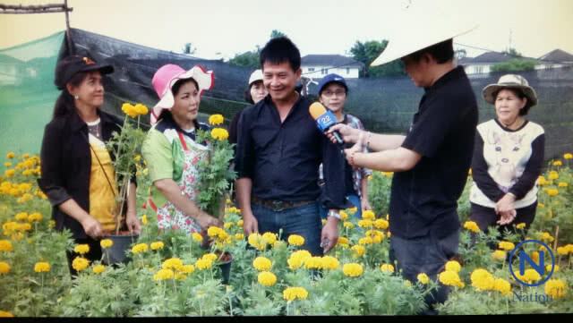 ชาว อ.ลำลูกกา ร่วมปลูกดอกดาวเรืองเพื่อพ่อ
ผลิดอกบานสะพรั่ง
เหลืองอร่ามทั่วทุ่งคลองสาม