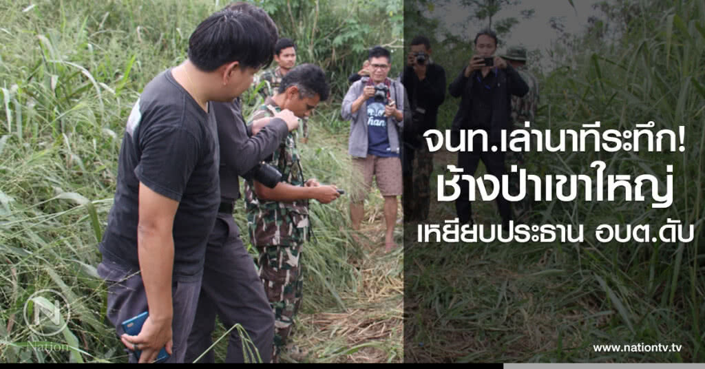 จนท.เล่านาทีระทึก! ช้างป่าเขาใหญ่ เหยียบประธาน อบต.ดับ