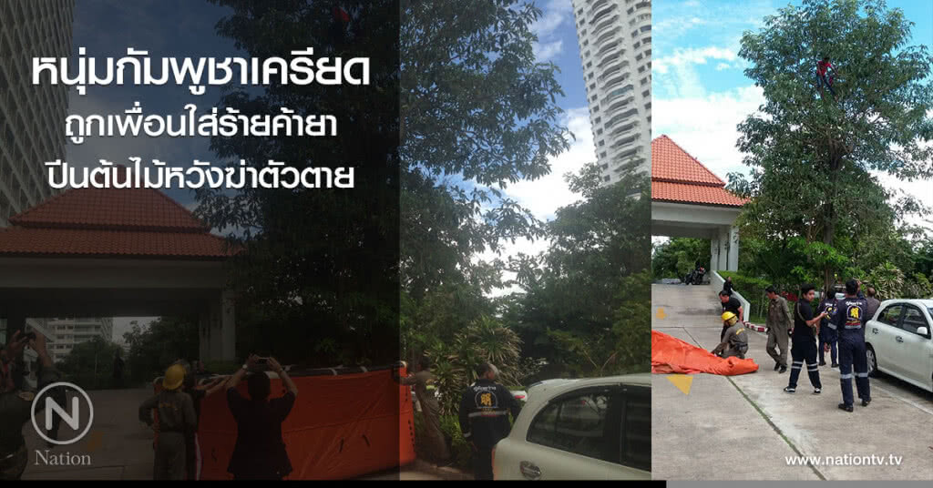 หนุ่มกัมพูชาเครียด
ถูกเพื่อนใส่ร้ายค้ายา
ปีนต้นไม้หวังฆ่าตัวตาย