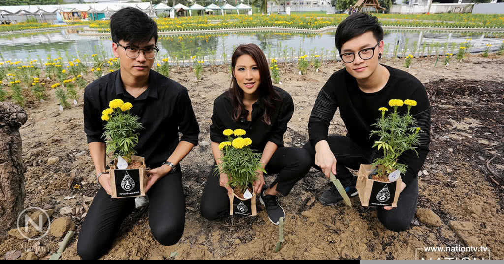 ศิลปินเอเอฟ ร่วมปลูกดาวเรือง รำลึกในหลวง ร.9 ศิลปินเอเอฟ ร่วมปลูกดาวเรือง รำลึกในหลวง ร.9