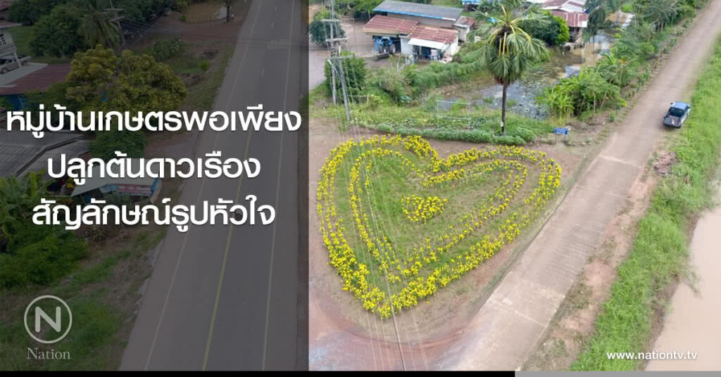 หมู่บ้านเกษตรพอเพียงปลูกต้นดาวเรืองสัญลักษณ์รูปหัวใจ