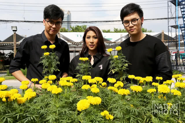 ศิลปินเอเอฟ ร่วมปลูกดาวเรือง รำลึกในหลวง ร.9