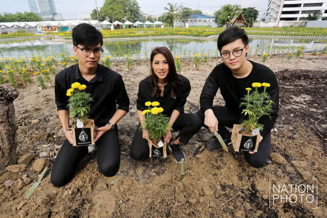 ศิลปินเอเอฟ ร่วมปลูกดาวเรือง รำลึกในหลวง ร.9
