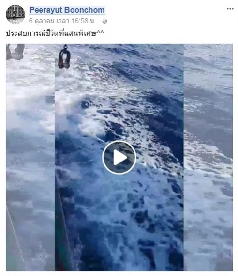 ชัดมาก !! วาฬเพชฌฆาตในไทย