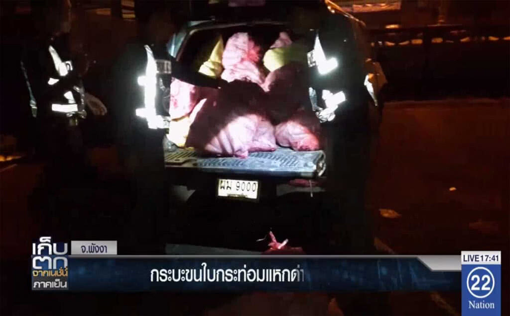 กระบะขนใบกระท่อมแหกด่าน กระบะขนใบกระท่อมแหกด่าน