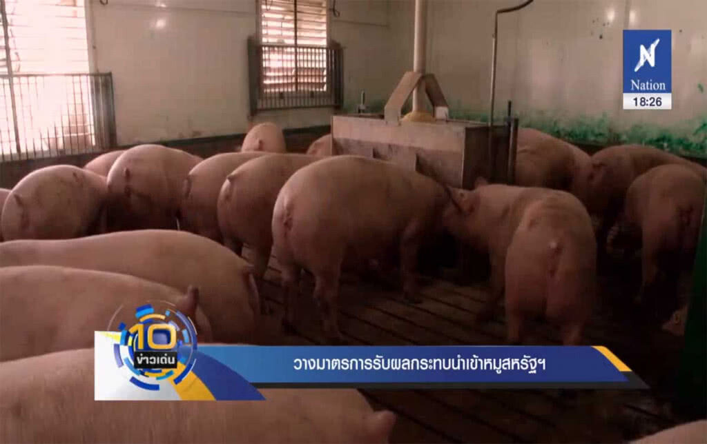 วางมาตรการรับผลกระทบ นำเข้าหมูสหรัฐฯ วางมาตรการรับผลกระทบ นำเข้าหมูสหรัฐฯ