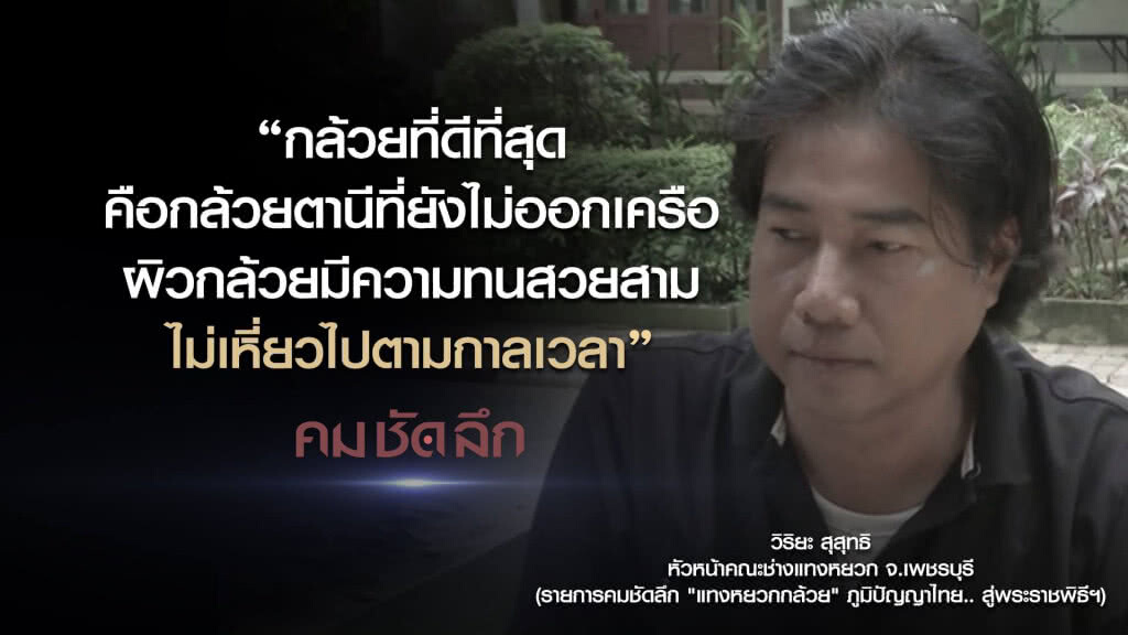 คม-ชัด-ลึก "แทงหยวกกล้วย" ภูมิปัญญาไทย..สู่พระราชพิธีฯ คม-ชัด-ลึก "แทงหยวกกล้วย" ภูมิปัญญาไทย..สู่พระราชพิธีฯ