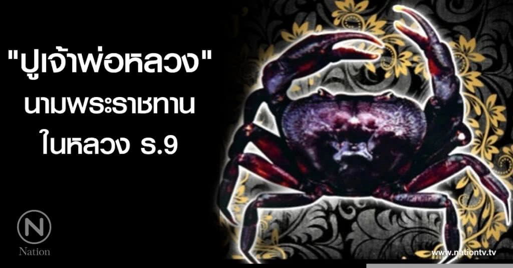 "ปูเจ้าพ่อหลวง" นามพระราชทาน ในหลวง ร.9