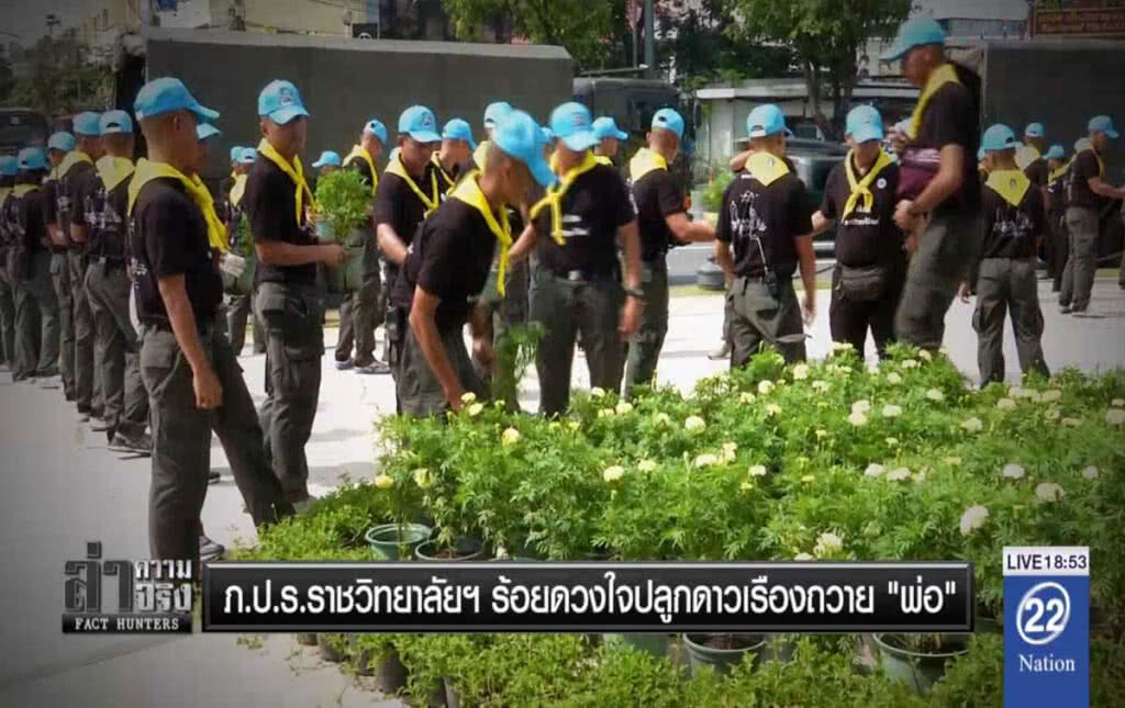 ภ.ป.ร.ราชวิทยาลัยฯ ร้อยดวงใจปลูกดาวเรืองถวาย "พ่อ" ภ.ป.ร.ราชวิทยาลัยฯ ร้อยดวงใจปลูกดาวเรืองถวาย "พ่อ"
