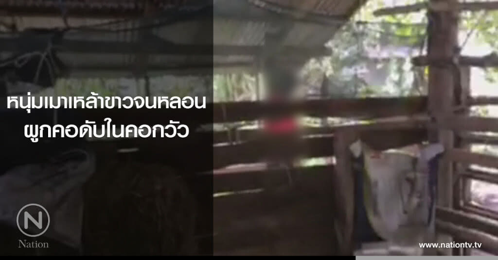 หนุ่มเมาเหล้าขาวจนหลอน
ผูกคอดับในคอกวัว หนุ่มเมาเหล้าขาวจนหลอน
ผูกคอดับในคอกวัว