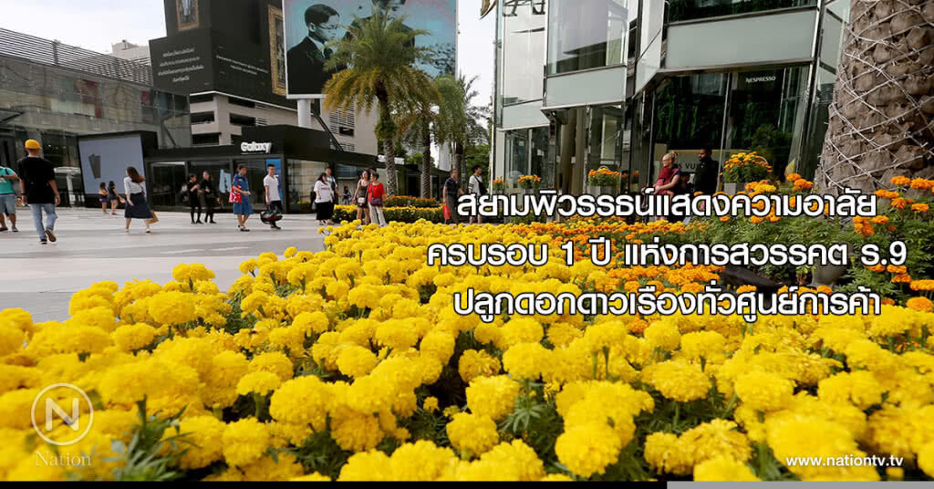 สยามพิวรรธน์แสดงความอาลัยครบรอบ 1 ปี แห่งการสวรรคต ร.9 ปลูกดอกดาวเรืองทั่วศูนย์การค้า สยามพิวรรธน์แสดงความอาลัยครบรอบ 1 ปี แห่งการสวรรคต ร.9 ปลูกดอกดาวเรืองทั่วศูนย์การค้า