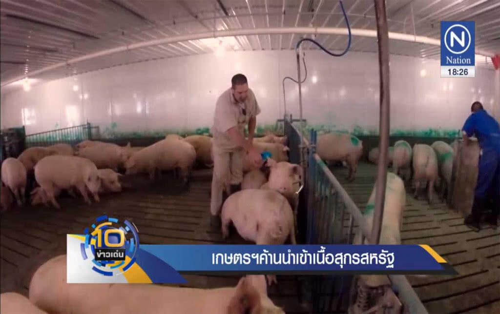 เกษตรฯ ค้านนำเข้าเนื้อสุกรสหรัฐ เกษตรฯ ค้านนำเข้าเนื้อสุกรสหรัฐ