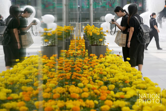 สยามพิวรรธน์แสดงความอาลัยครบรอบ 1 ปี แห่งการสวรรคต ร.9 ปลูกดอกดาวเรืองทั่วศูนย์การค้า
