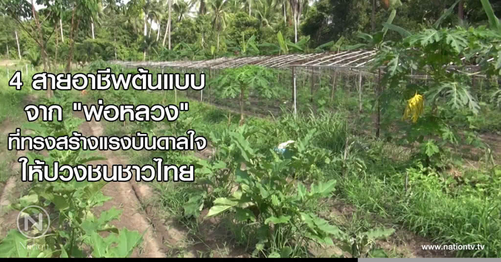 4 สายอาชีพต้นแบบจาก "พ่อหลวง" ที่ทรงสร้างแรงบันดาลใจให้ปวงชนชาวไทย