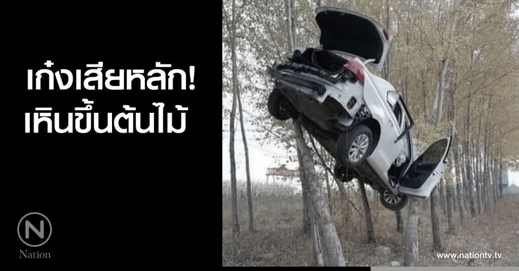 อุบัติเหตุรถยนต์ค้างบนต้นไม้ อุบัติเหตุรถยนต์ค้างบนต้นไม้